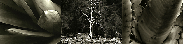 Slideshow Image 5