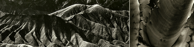 Slideshow Image 6